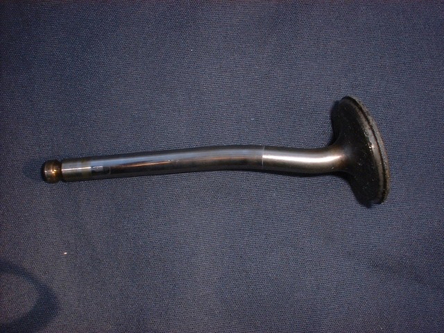 No Caption