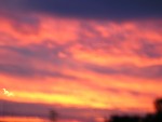 Highlight for Album: GOLDEN_GATE_PICS